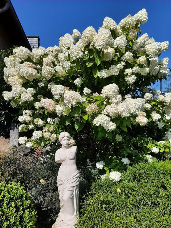 Homestay Pension-jakobs Nachtsheim